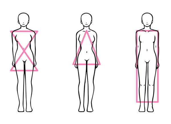 Skelettstruktur Diagnos Typer Kroppsform Illustration Rak Vågig Naturlig — Stock vektor