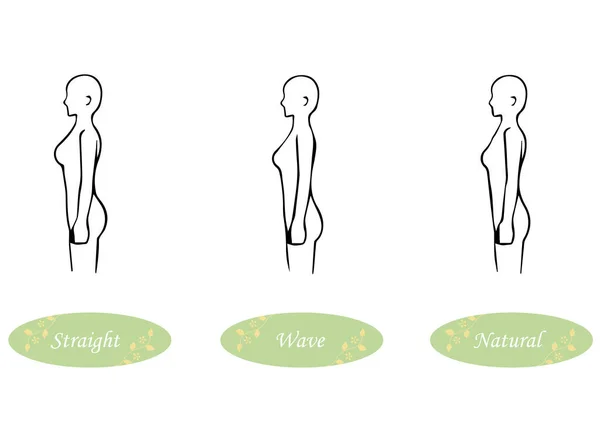 Diagnóstico Estrutura Esquelética Tipos Ilustração Forma Corpo Hetero Ondulado Natural —  Vetores de Stock