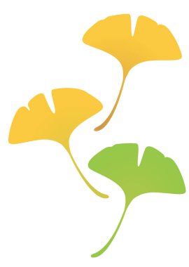 Bir bitkinin vektör illüstrasyonu