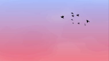 This is a background animation video of a flock of birds flying in the morning sky. Loopable