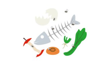 hand drawn fish. isolated illustration on a white background.Animation of a small fly flying around food waste