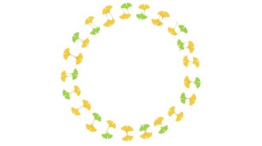 beyaz arkaplanda yeşil yapraklar izole