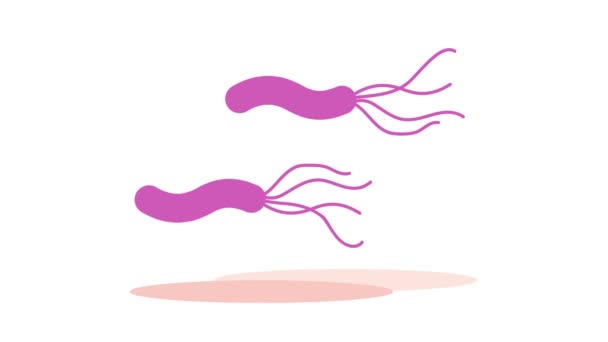 Sperm Icon Flat Illustration Stomach Vector Icons Webhelicobacter Pylori Swimming — Stock video