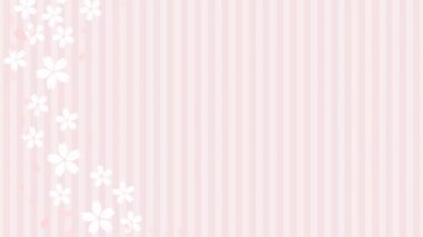 Loop background animation video of cherry petals falling and disappearing on a striped background.Loopable