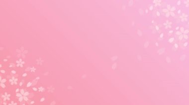 Illusion background frame animation video with floating pale cherry blossoms. Loopable / with alpha channel