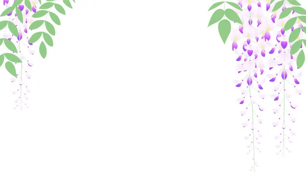 Фоновая Рамка Иллюстрации Вистерия Цветок Кластера Висит Вниз — стоковый вектор