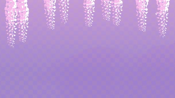 Анимированное Видео Изображающее Лепестки Вистерии Танцующие Клетчатом Фиолетовом Градиентном Фоне — стоковое видео