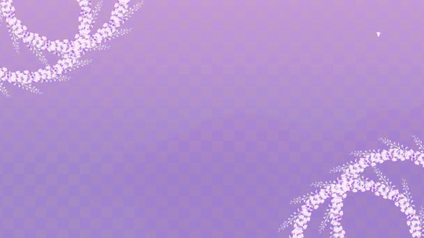 Анімаційне Відео Зображує Коло Квіткових Скупчень Wisteria Картатому Фіолетовому Градієнтному — стокове відео