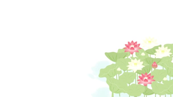 Este Video Animado Fondo Paisaje Flor Loto Con Loto Brillante — Vídeos de Stock
