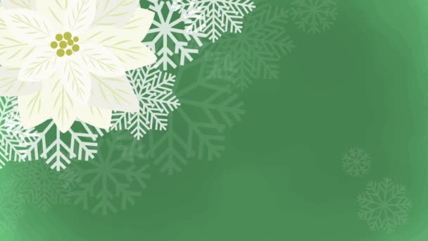Animowane Tło Ramki Ilustracja Wideo Wyposażony Poinsettias Płatki Śniegu Loopable — Wideo stockowe