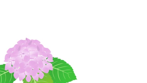 Estilo Acuarela Hortensias Ilustración Marco Fondo Lluvia Vídeo Animado Loopable — Vídeo de stock