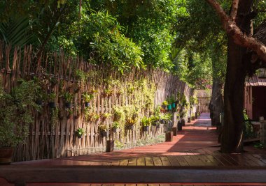 Relaxing garden in a shady atmosphere