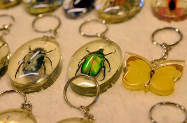 Bangkok 'taki yerel pazarlarda bulunan eşsiz bir anahtarlık. Chatuchak Hafta Sonu Pazarı 'nda çeşitli böcekler bulunmaktadır.