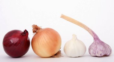 Onion and Garlic the most healthiest vegetables on earth. clipart