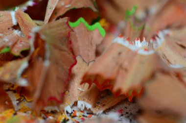 Tahta renkli kalemler, talaş makro atış..