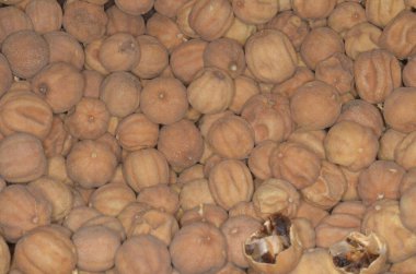 Şehir merkezindeki bir baharat pazarında kurutulmuş limon sepeti..