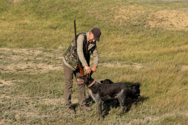 Mature man hunter with gun while walking on field with your dogs