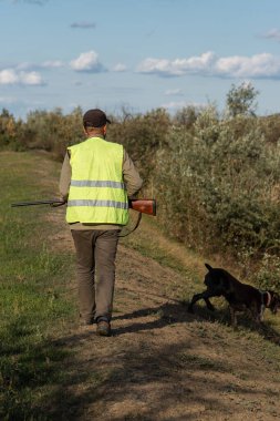 Mature man hunter with gun while walking on field with your dogs