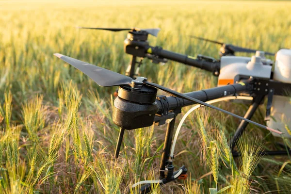 Agricultural technology smart farm concept. Farmer technicians remotely fly agricultural drones to fly to spray fertilizer in fields.