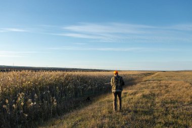 Mature man hunter with gun while walking on field.