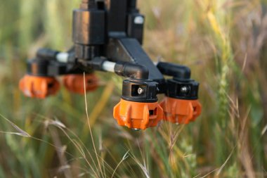 Agricultural technology smart farm concept. Farmer technicians remotely fly agricultural drones to fly to spray fertilizer in fields.