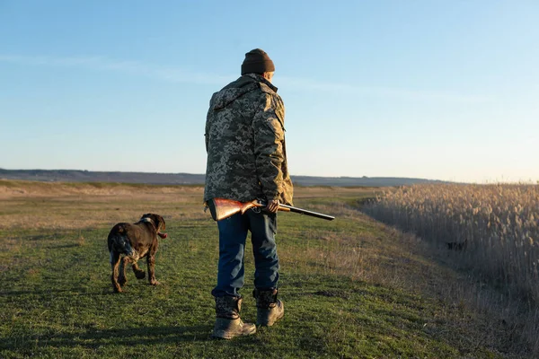 Mature Man Hunter Gun While Walking Field Your Dogs — Stock Photo, Image