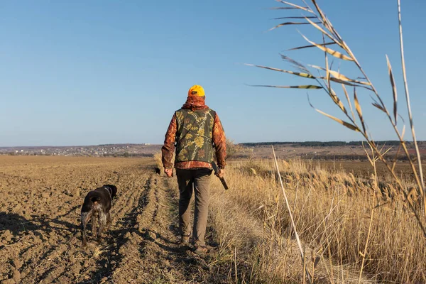 Mature Man Hunter Gun While Walking Field Your Dogs — Stock Photo, Image