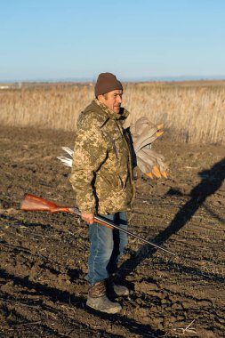 A mature hunter arranges stuffed decoy geese across the field