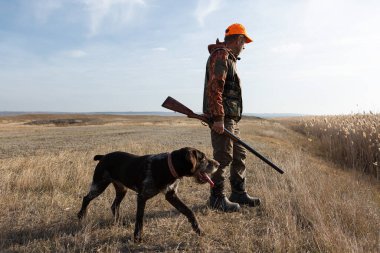 Mature man hunter with gun while walking on field with your dogs