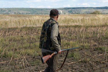 Mature man hunter with gun while walking on field.