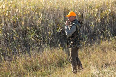 Mature man hunter with gun while walking on field.