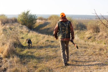 Mature man hunter with gun while walking on field with your dogs