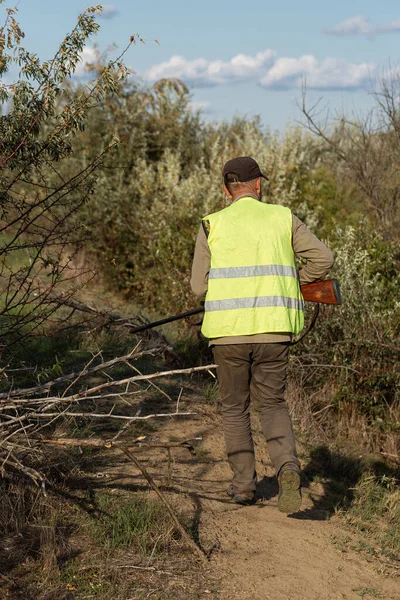 Mature man hunter with gun while walking on field.