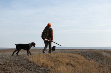 Köpeklerinle tarlada yürürken silahlı yetişkin bir avcı.