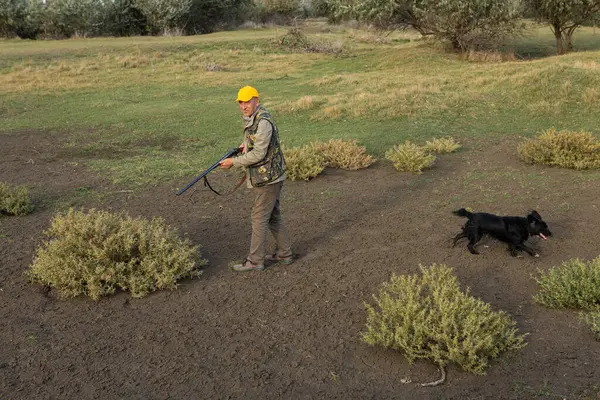 Mature Man Hunter Gun While Walking Field Your Dogs — ストック写真