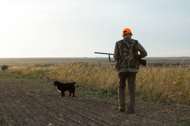 Köpeklerinle tarlada yürürken silahlı yetişkin bir avcı.