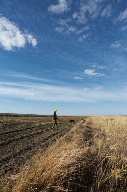 Mature man hunter with gun while walking on field.