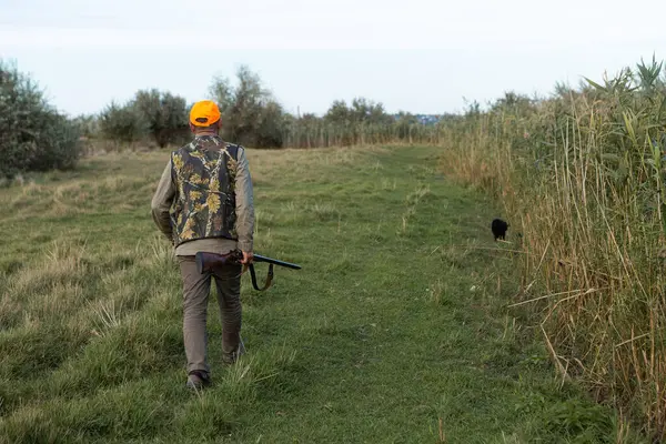 Mature man hunter with gun while walking on field.