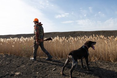 Köpeklerinle tarlada yürürken silahlı yetişkin bir avcı.