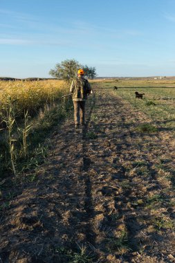 Mature man hunter with gun while walking on field.