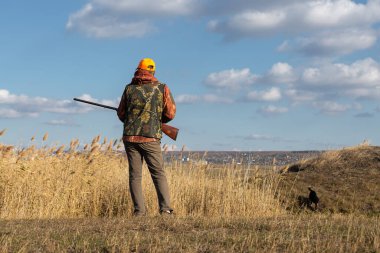 Mature man hunter with gun while walking on field. clipart