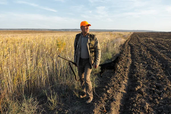 Mature man hunter with gun while walking on field.