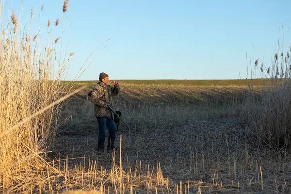 Mature man hunter with gun while walking on field.