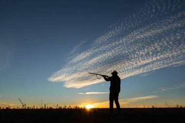 Mature man hunter with gun while walking on field.