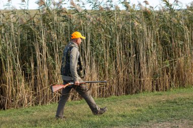 Mature man hunter with gun while walking on field.