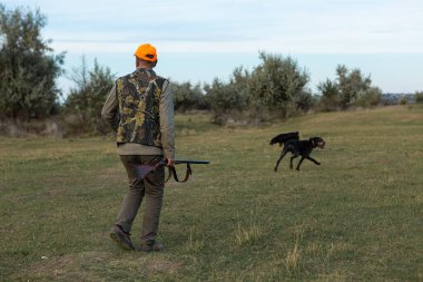 Mature man hunter with gun while walking on field with your dogs