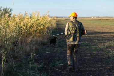 Mature man hunter with gun while walking on field.