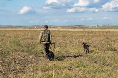 Köpeklerinle tarlada yürürken silahlı yetişkin bir avcı.