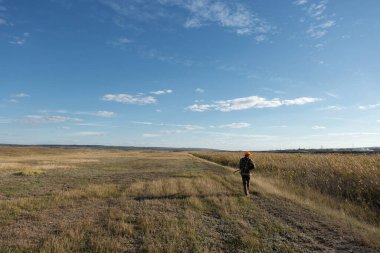 Mature man hunter with gun while walking on field.