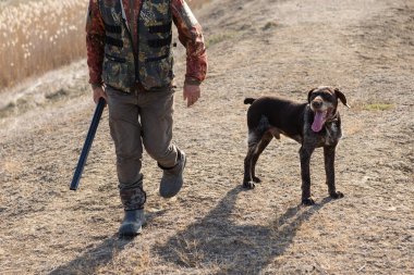 Köpeklerinle tarlada yürürken silahlı yetişkin bir avcı.